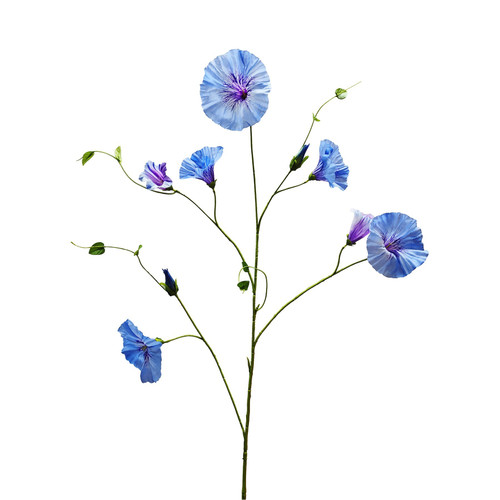 Botanica Blue Liseron (107cm)