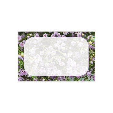 Pack of 25 Small Pale Lilac Frame Cards 