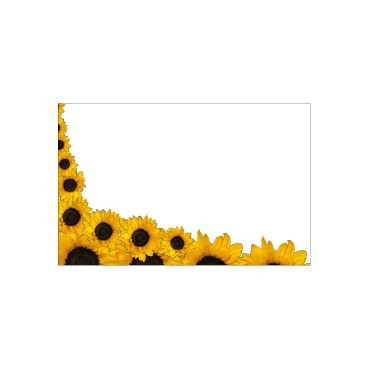 Pack of 25 Small Sunflower Frame Cards
