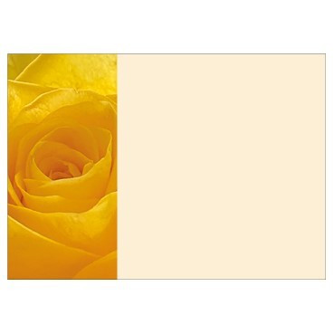 Pack of 6 Large Yellow Rose Cards 