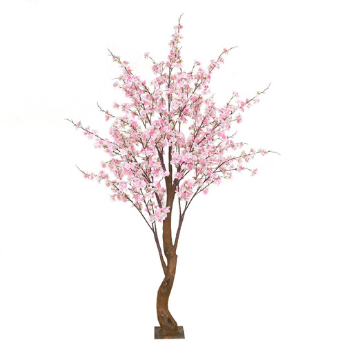 Light Pink Yoshino Blossom Tree (1.8m)