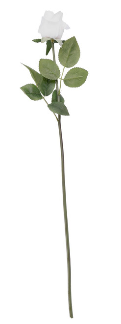 Essential White Arundel Rose Bud (55cm)