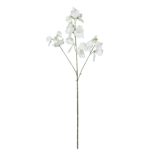 Botanica White Sweetpea (73cm)