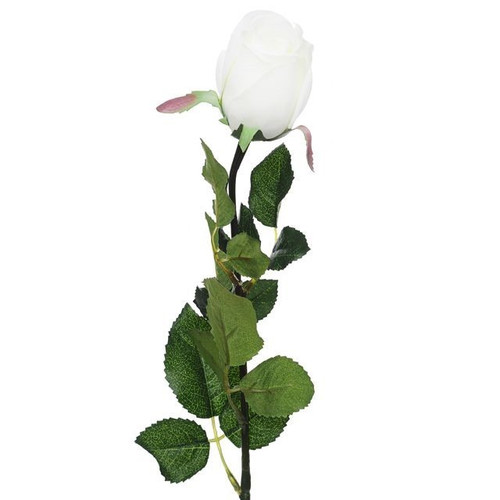 White Prize Rose Bud (64cm)