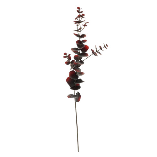 Brown Eucalyptus Spray (75cm)