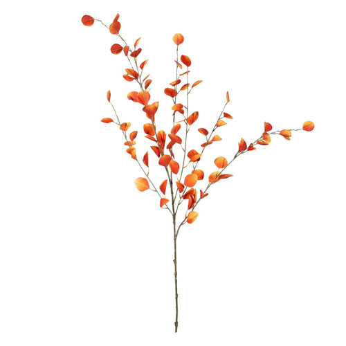 Orange Eucalyptus Spray (121cm)