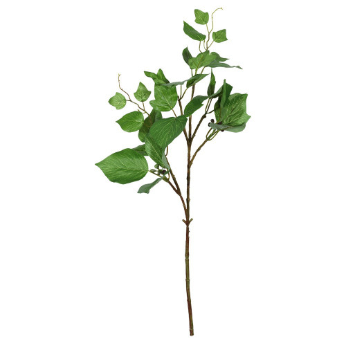 Single Hedera (54cm)