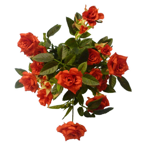 Red Diamond Rose Bush