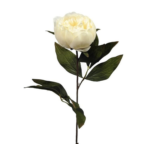 Cream Eternity Peony (65cm)