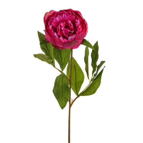 Pink Two Tone Peony (65cm)