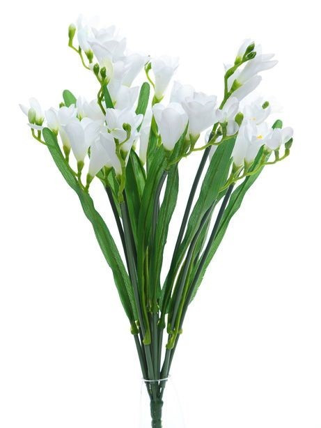 Cream Freesia Bush (12 Stems)