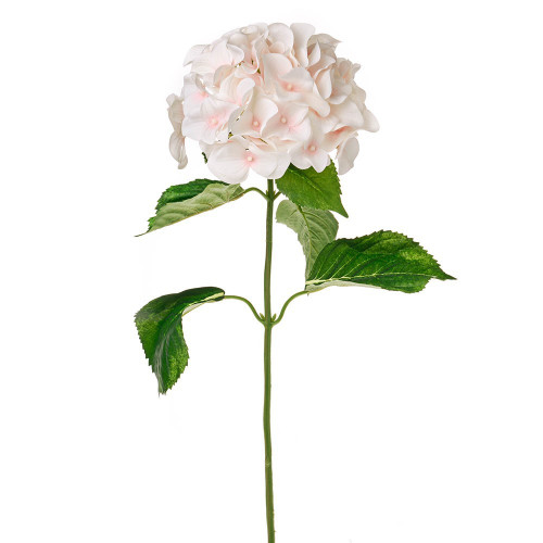 Coral Luna Hydrangea (75cm)