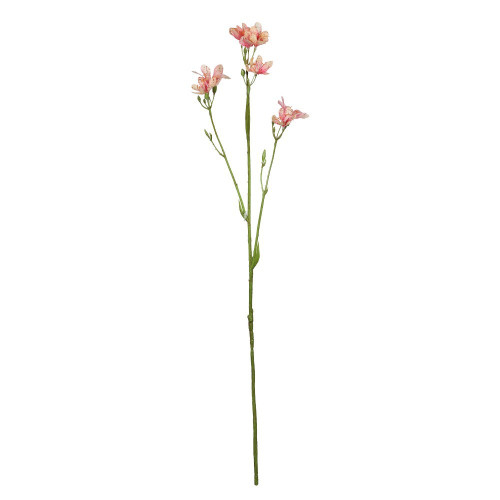 Light Pink Belamcanda Chinensis Spray (60cm)
