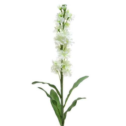 Cream Stocks (87cm)
