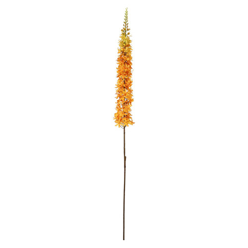 Orange Single Foxtail Lily (109cm)