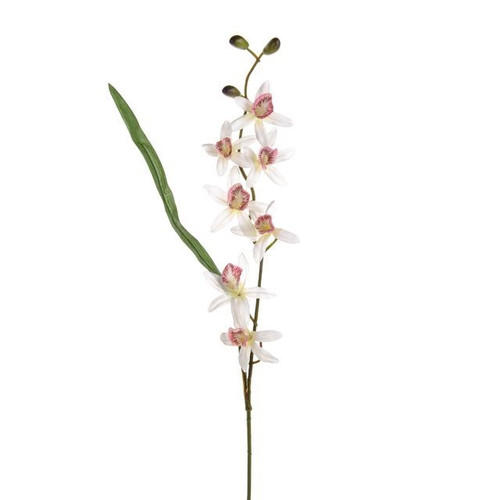 White Mini Orchid Stem