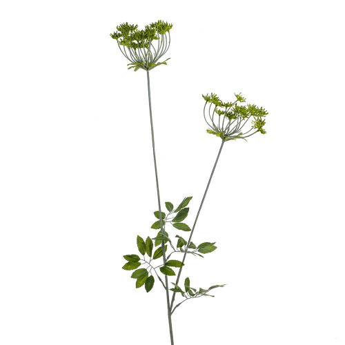 Green Anethum Spray