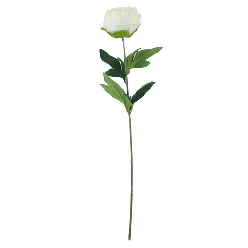 Essential Ivory Arundel Garden Peony (57cm)