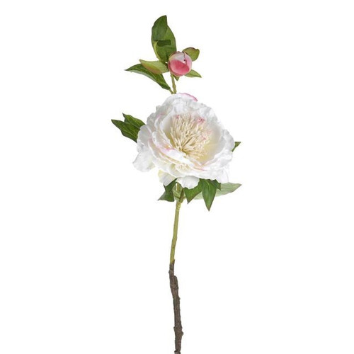 Cream Peony Silk Flower (60Cm)