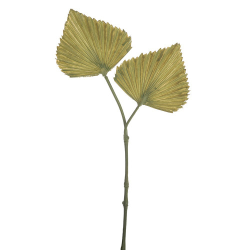 Green Fan Palm (39cm)