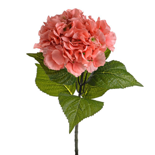 Coral Olivia Hydrangea Stem (67cm)