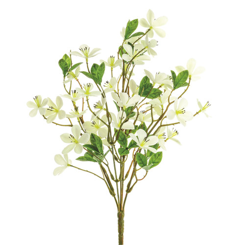 Plum Blossom Spray Cream (32Cm)