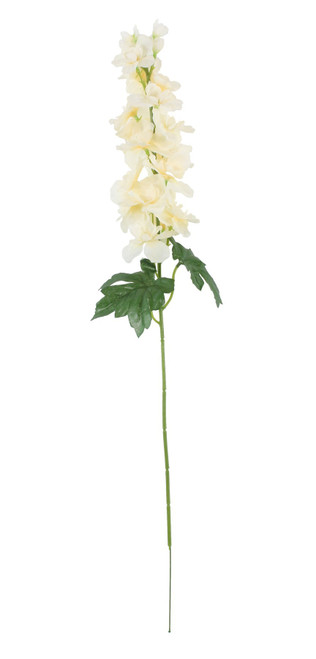 Essential Cream Arundel Garden Delphinium (77cm)