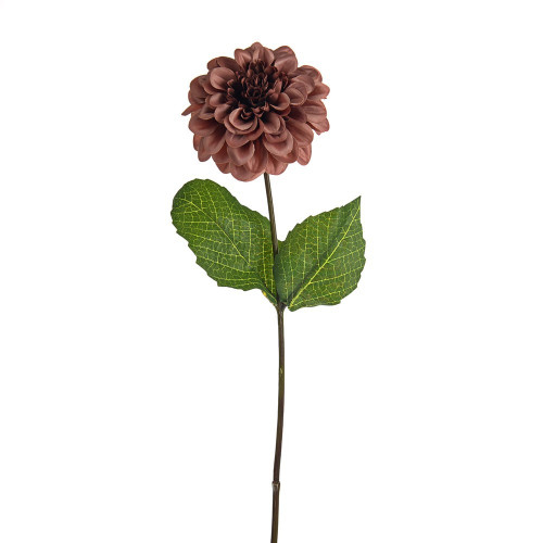 Russet Amelia Zinnia Stem (46cm)