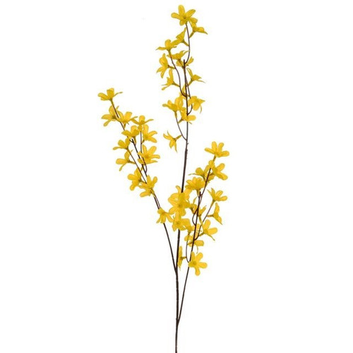 Yellow Forsythia (84cm)