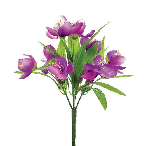 Purple Crocus Bush (23cm)