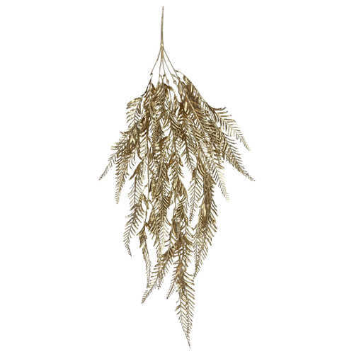 Gold Bushy Trailing Fern (80cm)