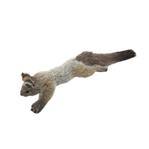 Grey Flying Squirrel Ornament Figure (50cm)