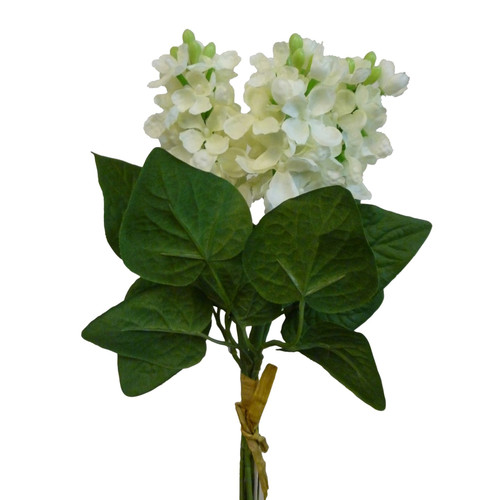 Cream Lilac Bundle (32cm)