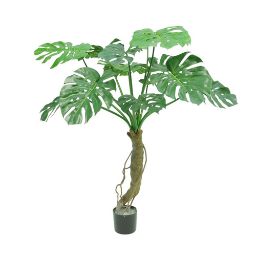 Green Split Trunk Philo Tree Potted (4ft 5in)