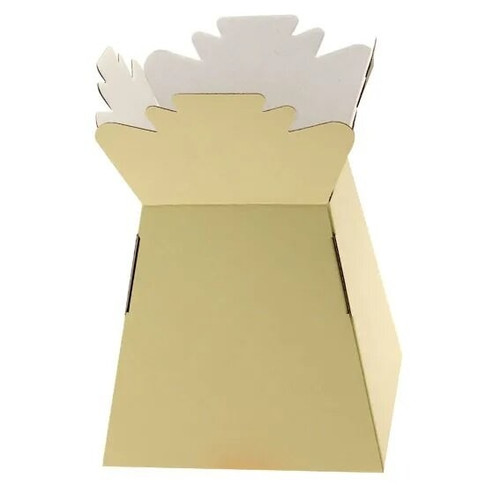 Cream Living Vase Cream Living Vase