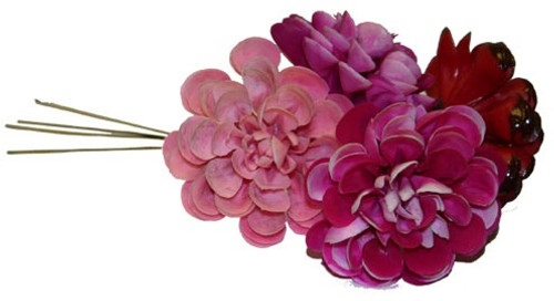 Georgina Dahlia Pick - Assorted