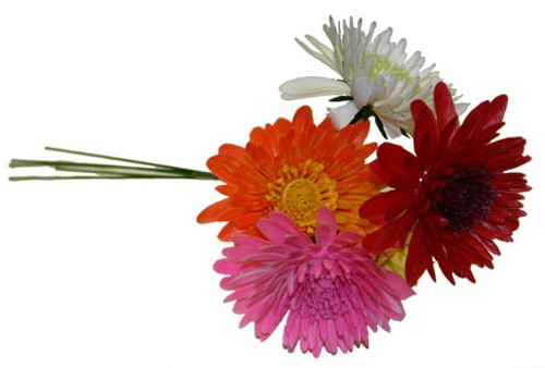 Romance Mum Pick Assorted