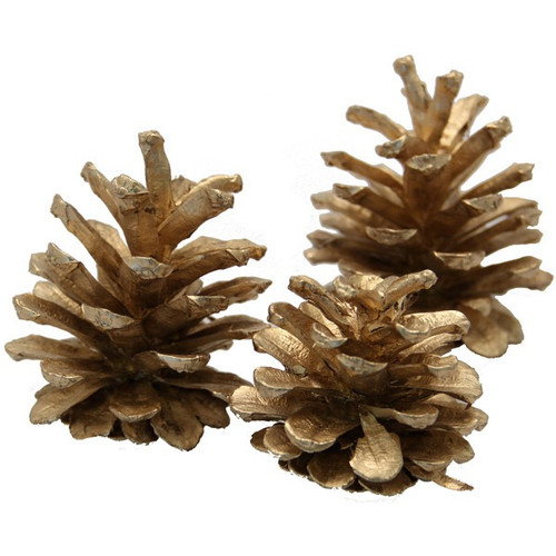 Austriaca Gold Cones Austriaca Gold Cones