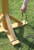 Tom Chambers Bird Table Stabiliser Pegs