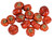 Mini Dried Pumpkins