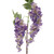 Two Head Wisteria Violet