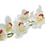 Real Touch Large Cymbidium White (36inch) Real Touch Large Cymbidium White (36inch)