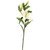 Lilium Spray White