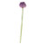 76cm Single Allium Lavender 