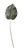 Green Hosta Single Leaf 23 inch