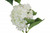 Large Hydrangea White  