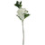 Large Hydrangea White  