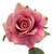 Rose Lavender 42cm
