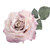 74cm Single Aidde Rose Antique Pink