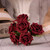 Bunch of 6 Burgundy Foam Tea Rose Bunch of 6 Burgundy Foam Tea Rose